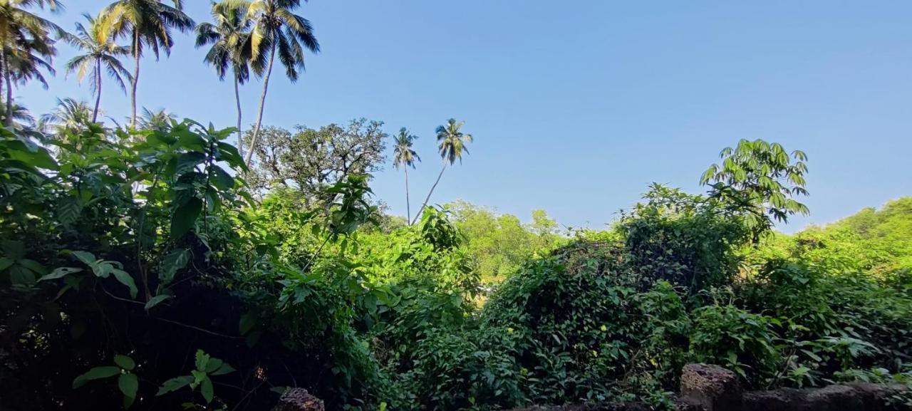 J-House, Spacious Apartments With Balconies, Thalassa 1Min Away Siolim Esterno foto